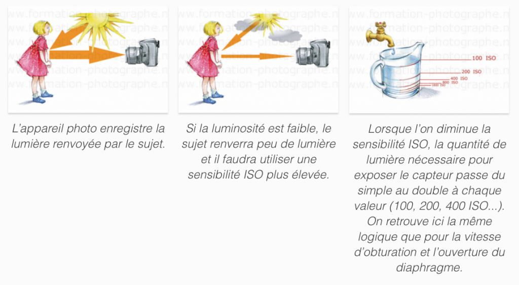quelle sensibilité ISO choisir