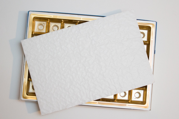 Apprendre la photographie de studio