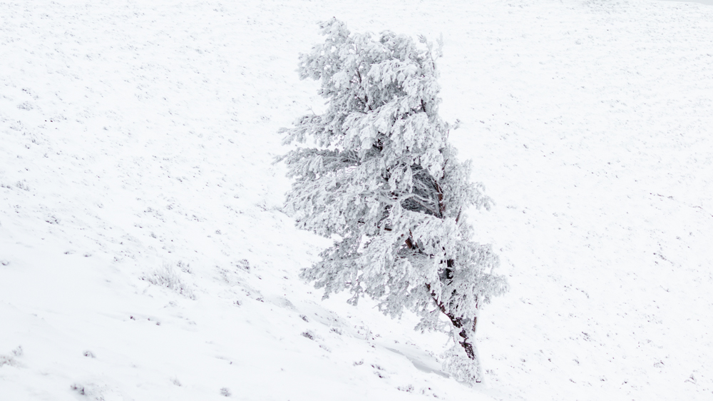 Ajuster l’exposition pour un paysage de neige